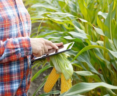 Innovación tecnológica en su beneficio